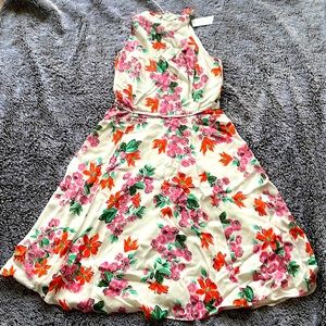 NWT - Ann Taylor Sleeveless Dress